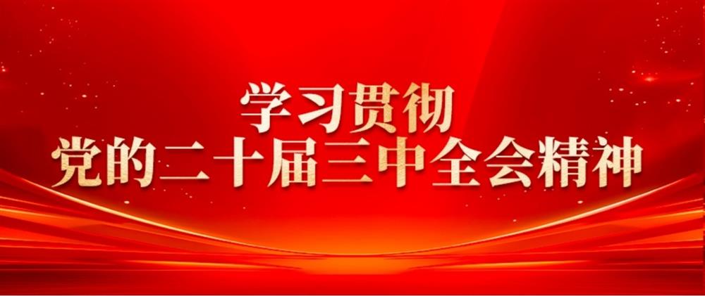 学习贯彻党的二十届三中全会精神② Z6·尊龙凯时园区集团董事长刘孝萌：抓好“建、招、储、运”,建设高质量产业园区